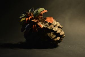 pinecone